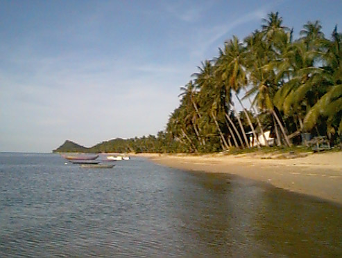The Beach at Coconut River