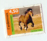 horse.jpg (41451 bytes)